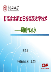 特高含水期油田提高采收率技术.