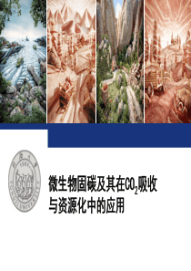 环境生物学课件CO2固定