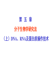 现代分子生物学第5章.