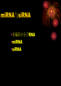 第八章2010-4-miRNA