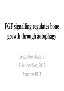 FGF-signalling-regulates-bone-growth-through-autop