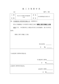 桥梁工程专项施工方案