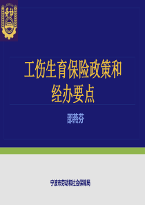 XXXX年企业培训--工伤生育保险政策与经办要点(ppt 38) 