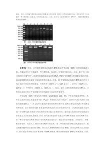 碱性裂解液提取DNA法在环氧化酶亚型基因敲除小鼠基因型鉴定中的应用