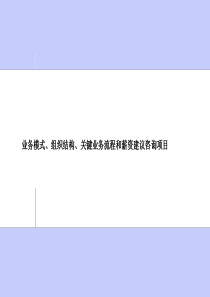 业务模式、组织结构、关键业务流程和薪资建议咨询项目概述