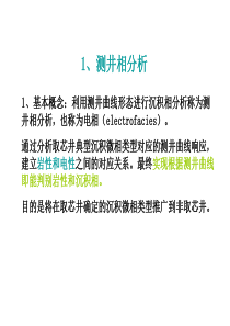 测井分析沉积相