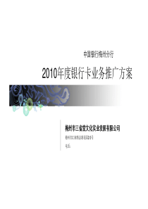 XXXX年度银行卡业务推广方案