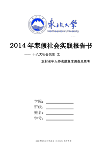 社会调查报告寒暑假实践报告