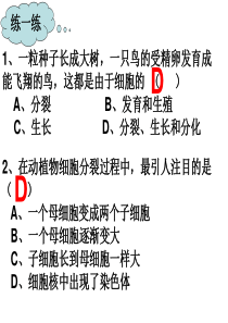 社戏新课改表格教案完整