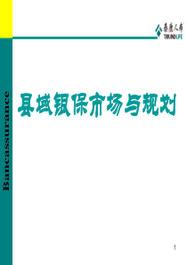 XX人寿保险县域银保市场与规划