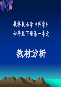 科学六年级下册