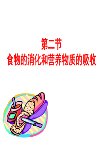 消化和吸收竞赛课.