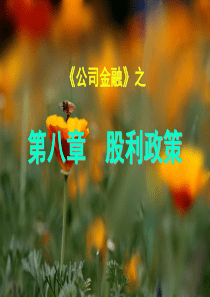 《公司金融(教辅)》08-09章