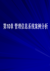 第10章管理信息系统案例分析