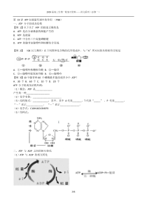 第19讲ATP在能量代谢中的作用