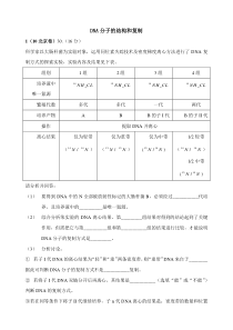 第19讲DNA分子的结构和复制