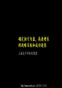 上海太平洋机电集团项目诊断报告