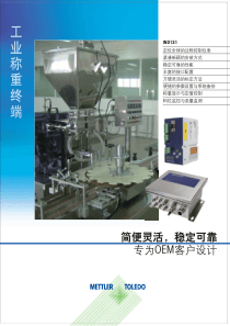 IND331型仪表选型样本