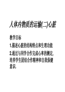 人体内物质的运输(二)心脏