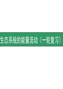 生态系统的能量流动(一轮复习)