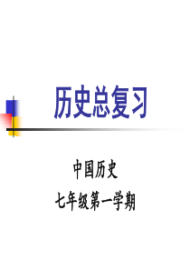 沪教版历史总复习(七上).