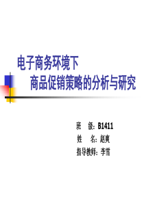 电子商务环境下商品促销策略分析与研究