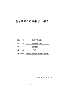 电子线路CAD课程设计报告+丁明