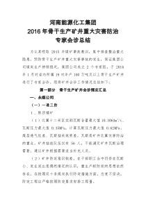 河南能源2016骨干生产矿井重大灾害防治专家会诊总结