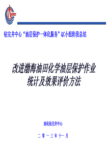 油层保护一体化服务小组总结汇报.