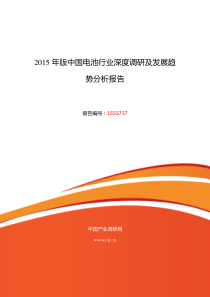 电池调研及发展前景分析报告