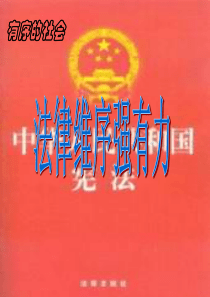 法律维序强有力.