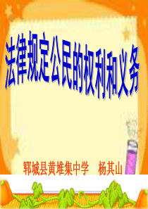 法律规定公民的权利义务.