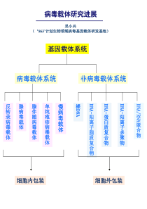 病毒载体研究进展