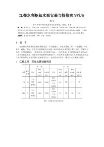 泵站检修实习报告