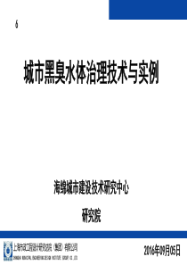 6-城市黑臭水体治理技术与实例