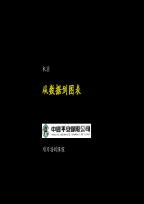 中国平安保险公司项目培训课程从数据到图表