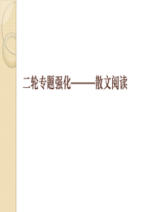 高考复习散文专题