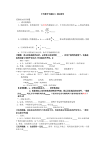 中考数学专题复习：相似图形