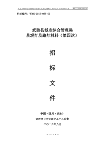 武胜县城市综合管理局景观灯及路灯材料(第四次)公开招标文件(20160816定稿)