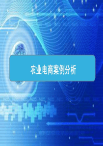 2019互联网农村电子商务案例分析