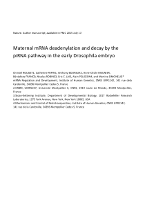 母源性mRNA脱腺苷化和经piRNA途径衰减