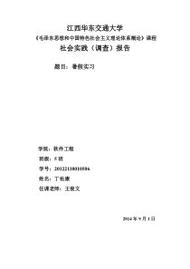 毛概社会实践调查报告范文2