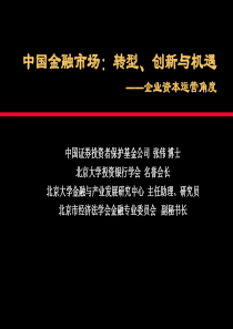 中国金融市场：转型、创新与机遇——企业资本运营角度(ppt 106页)