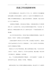 民政工作自我剖析材料