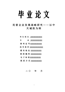 民营企业发展战略研究