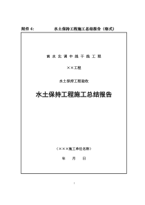 水保工程总结报告