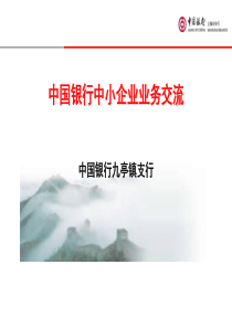 中国银行中小企业业务(九亭镇)-1116修改