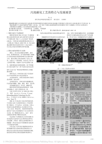 污泥碳化工艺的特点与发展展望