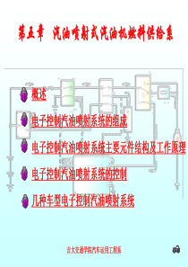 汽油喷射式燃料].