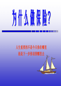 为什么做保险（PPT30页)